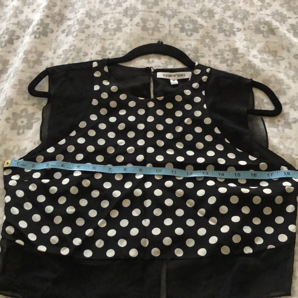 Elizabeth and James Enno Polka Dot Silk Crop Top - Picture 10 of 10